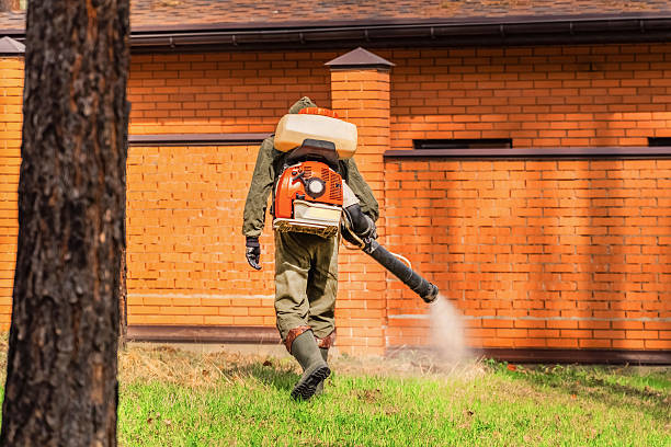Trusted Bed Bug Control service in Orange Lake, NY - Nex Pest Control